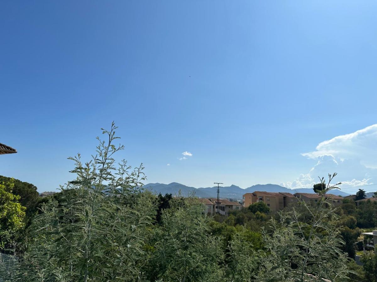 Villa Paradis - Cannes Kültér fotó