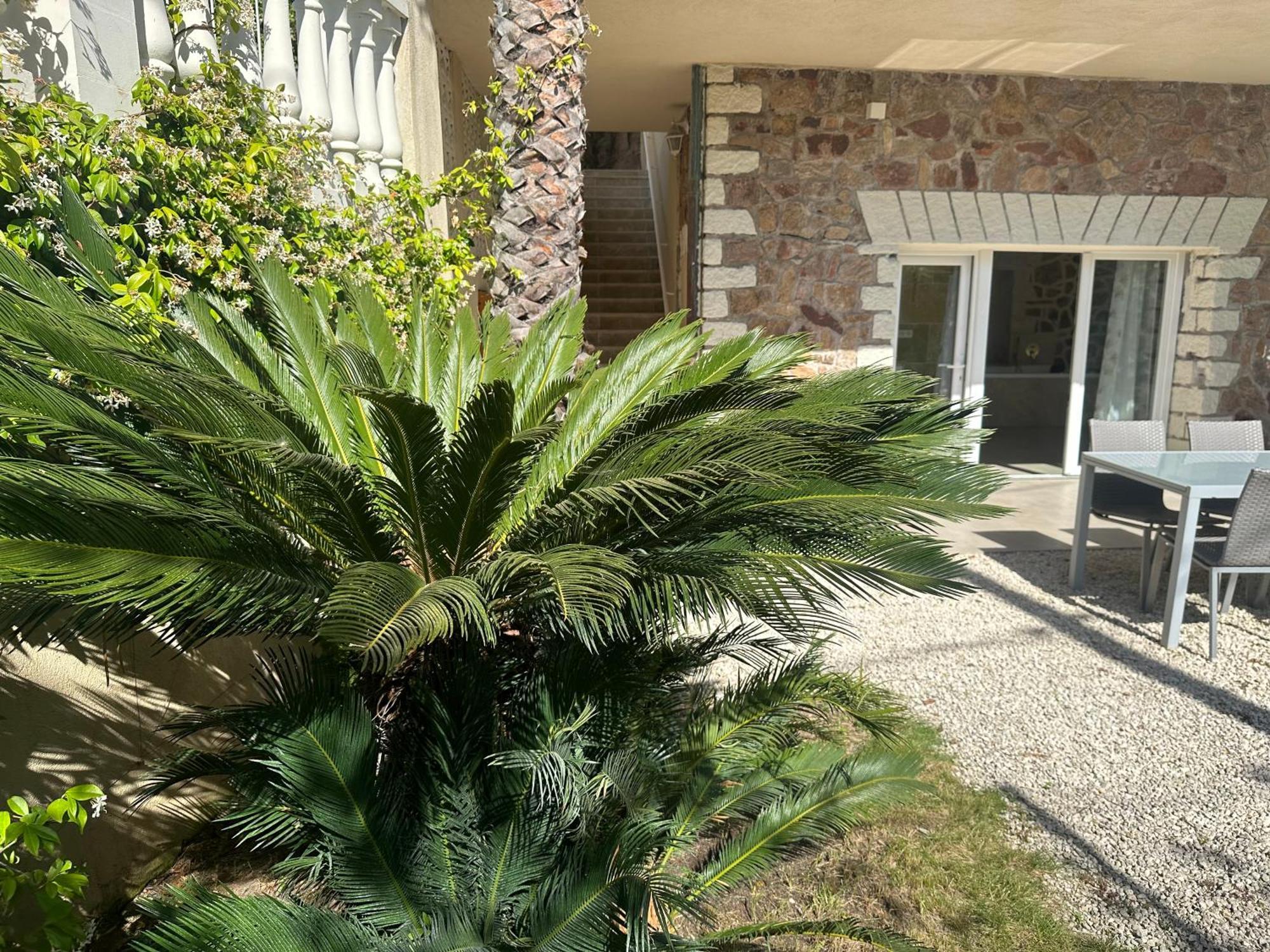 Villa Paradis - Cannes Kültér fotó